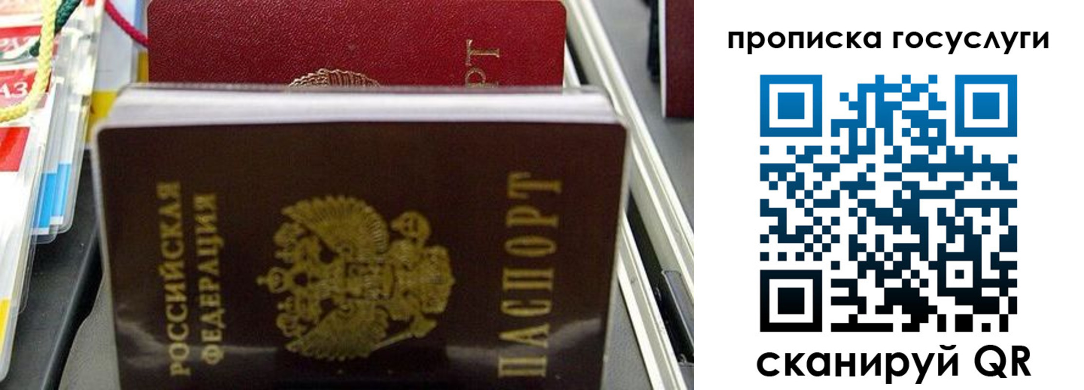 где прописаться в Курганинске